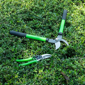 Linatikou pruning shears with lifetime warranty and US support