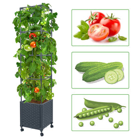 LINEX self-watering reservoir keeps soil moist for days between waterings