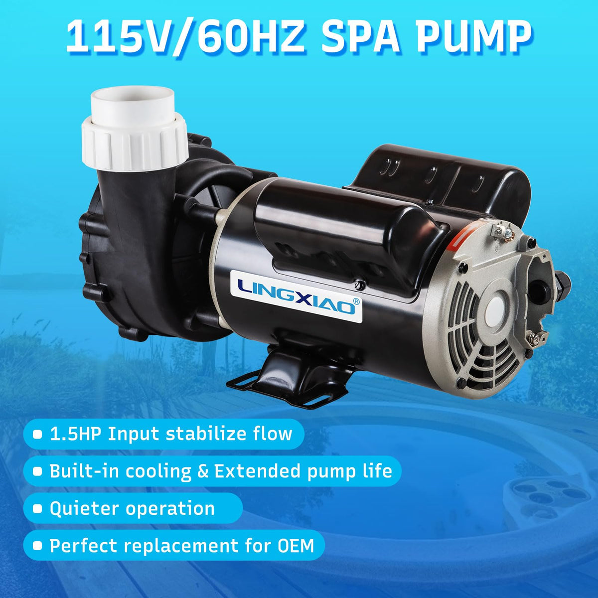 LINGXIAO 115V spa pump installation with 2-inch unions simplifies plumbing.