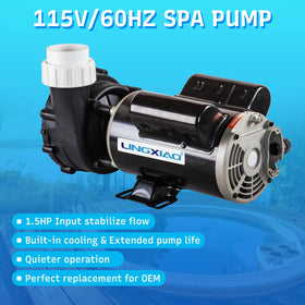 LINGXIAO 115V spa pump installation with 2-inch unions simplifies plumbing.