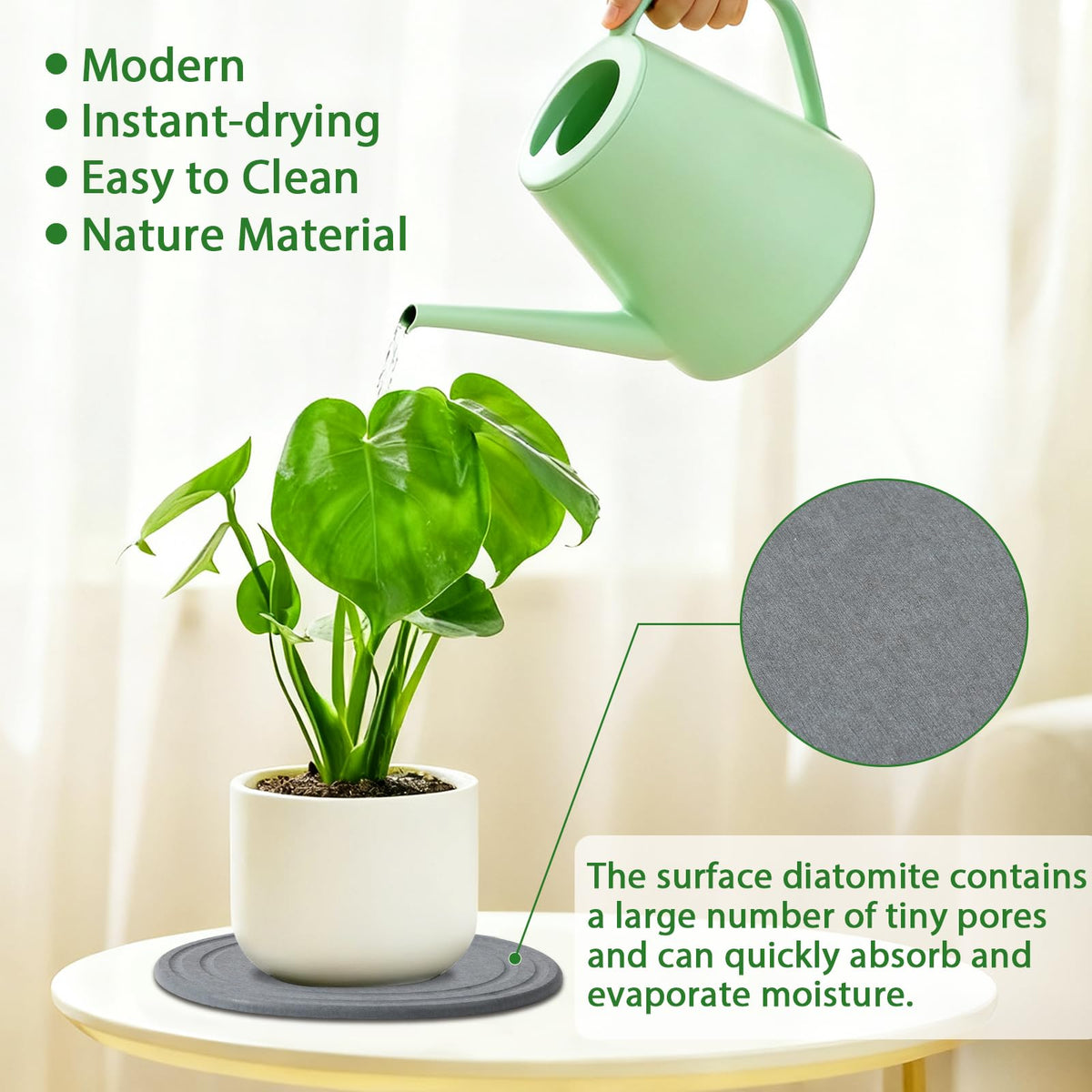 Linidcoud diatomite saucer demonstrates quick-dry action for busy plant corners.