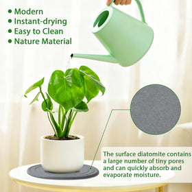 Linidcoud diatomite saucer demonstrates quick-dry action for busy plant corners.
