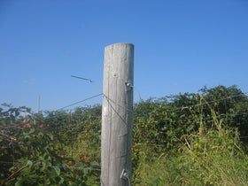 LinkEZ four-pack anchor vises ideal for vineyard trellising and orchard projects.