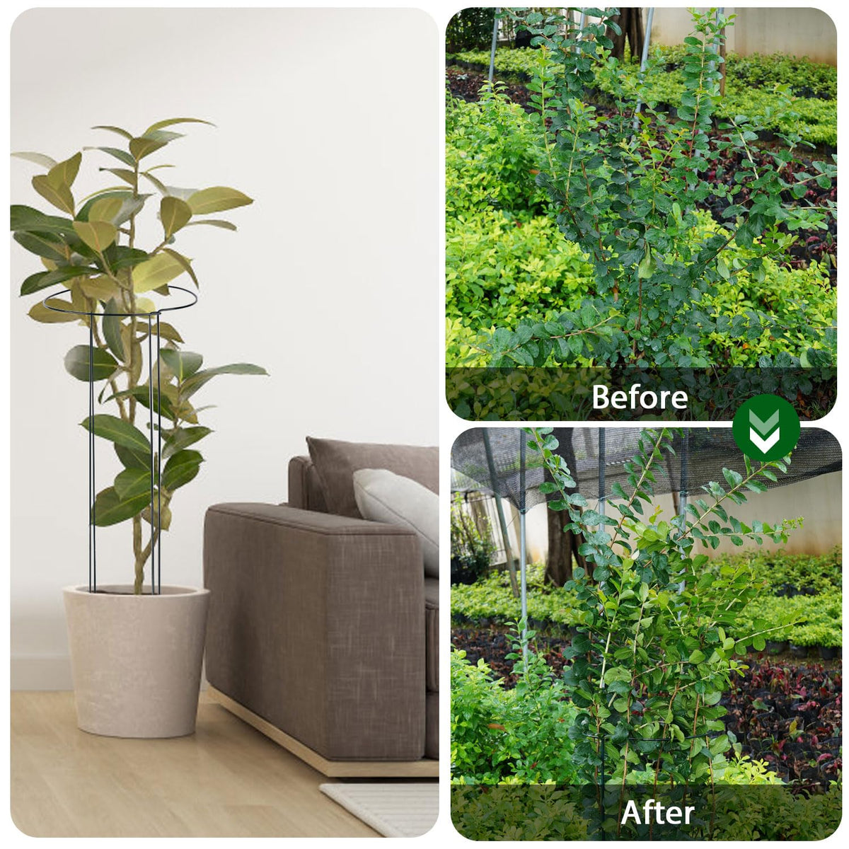 Linyona large plant clips support bigger branches securely