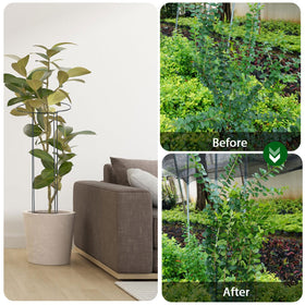 Linyona large plant clips support bigger branches securely