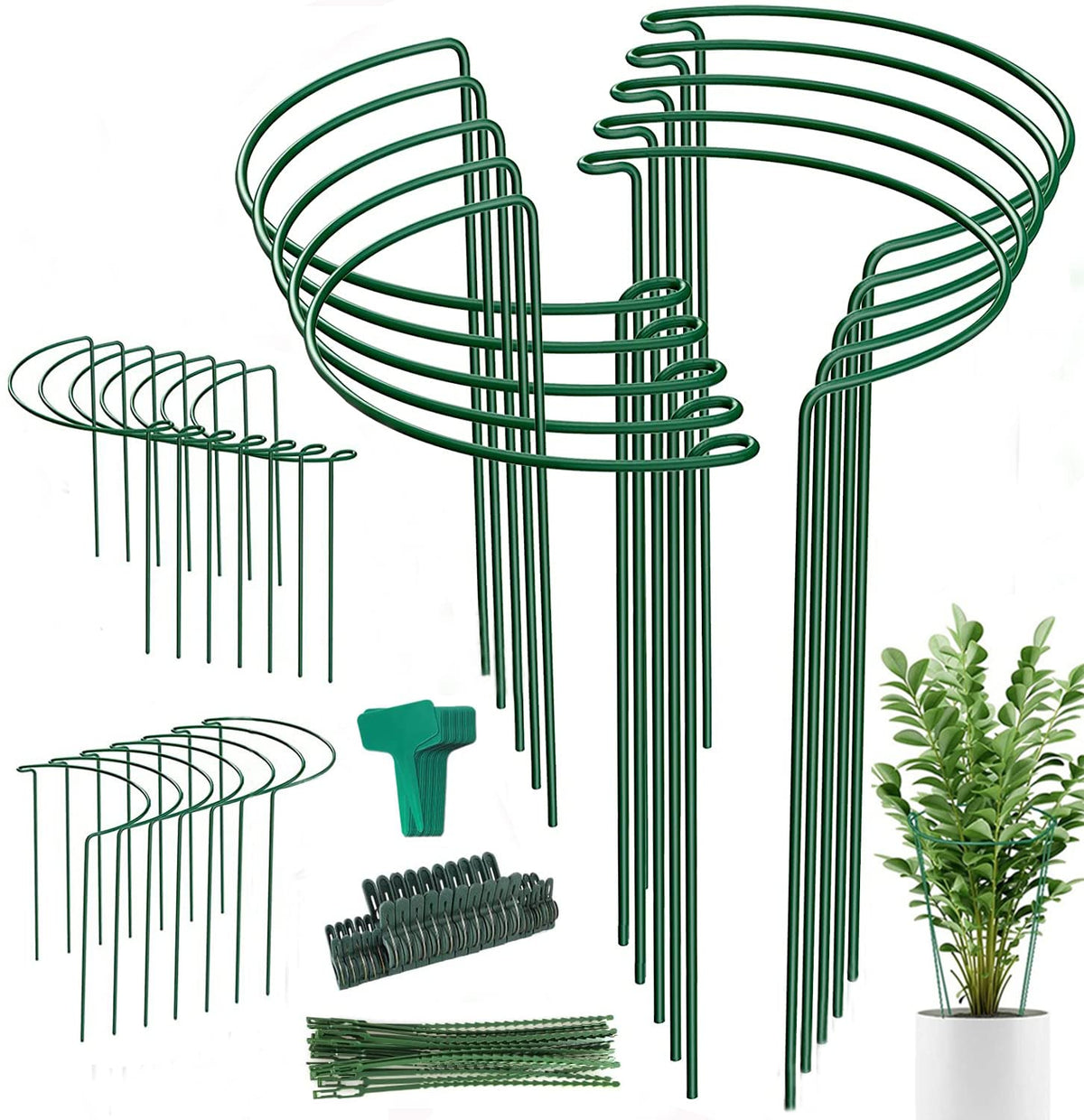 Linyona plant stake arc buckle provides sturdy support for climbing plants.
