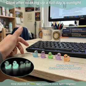 LionWell mini resin ducks serve as aquarium decorations with color.