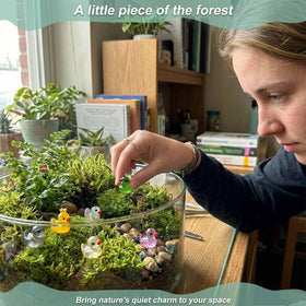 LionWell mini resin ducks for moss terrariums enhance tiny garden scenes.