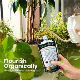Liqui-Dirt indoor plants show lush leaves after treatment