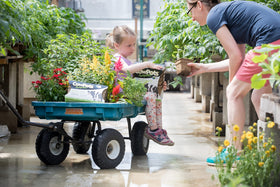 Liquid Fence CowPots stay odorless during use and biodegrade within a season.