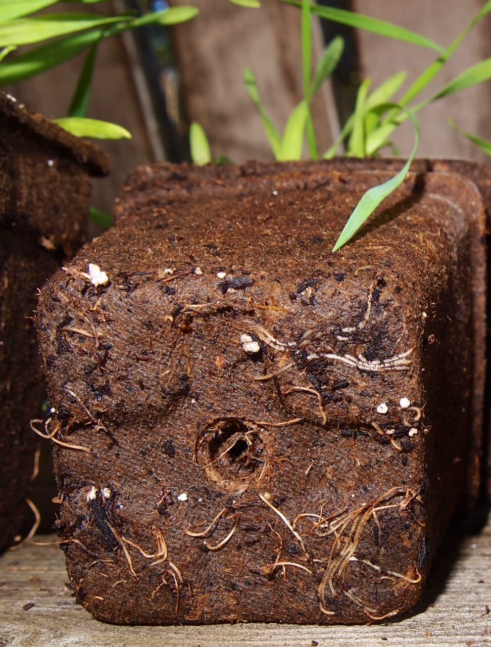 Liquid Fence CowPots are renewable manure-based, peat-free, supporting sustainable gardening.