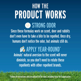 Liquid Fence deer-rabbit-repellent-concentrate-application-in-garden shows easy spray-on treatment.