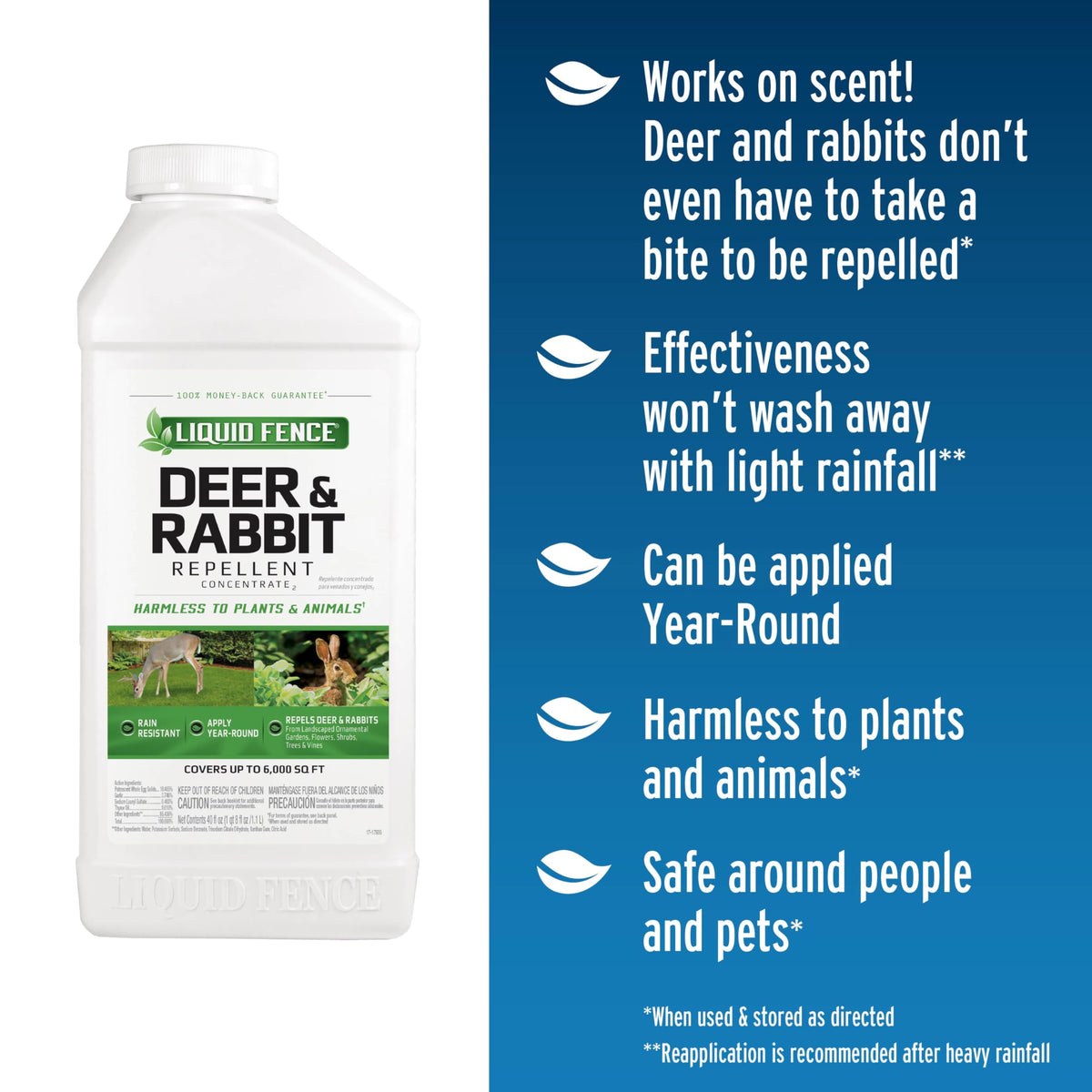 Liquid Fence deer-rabbit-repellent-concentrate-spray-on-plants demonstrates scent deterrence for gardens.