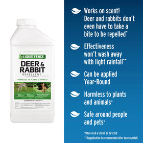 Liquid Fence deer-rabbit-repellent-concentrate-spray-on-plants demonstrates scent deterrence for gardens.
