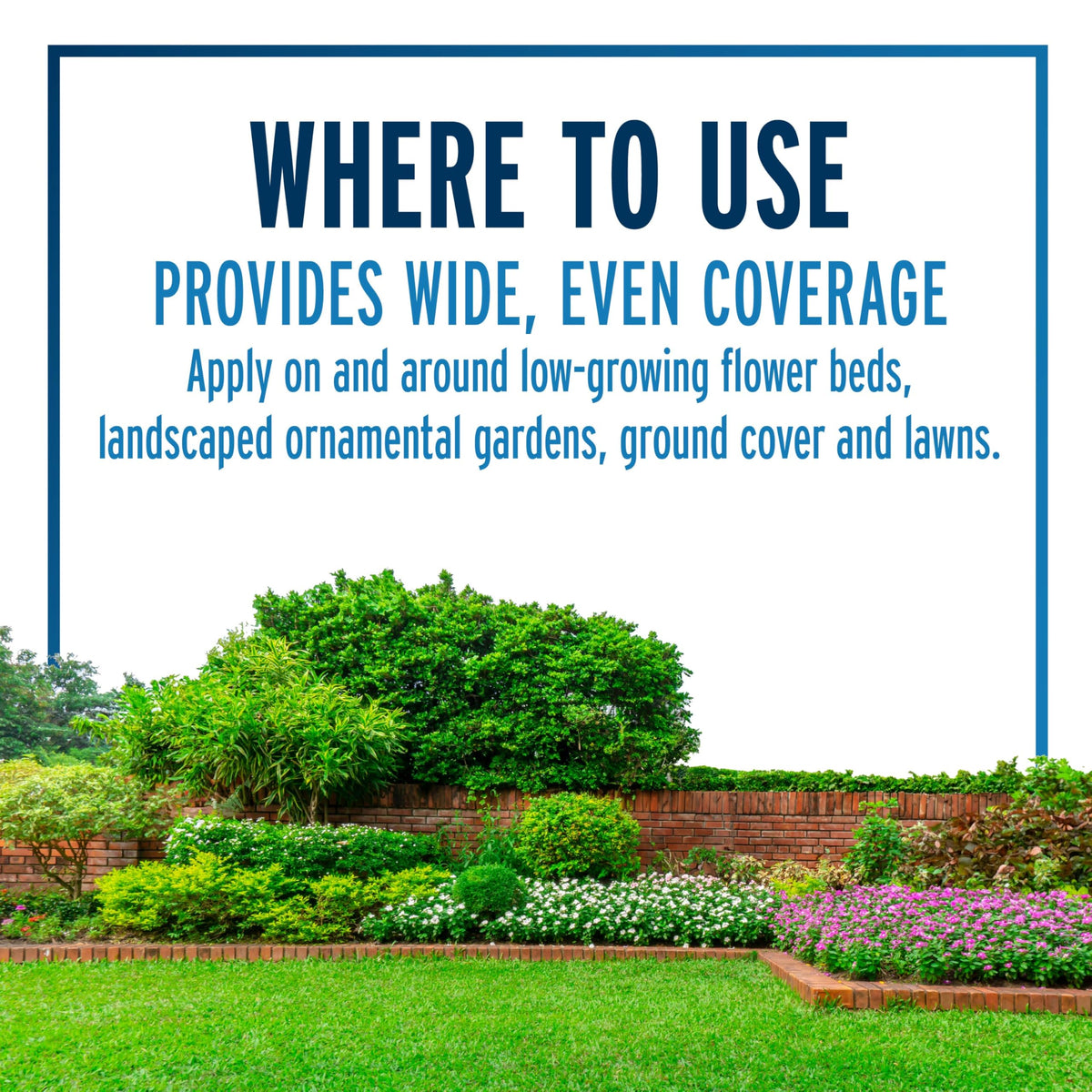 Granules dispersed around low-growing vegetation in a garden