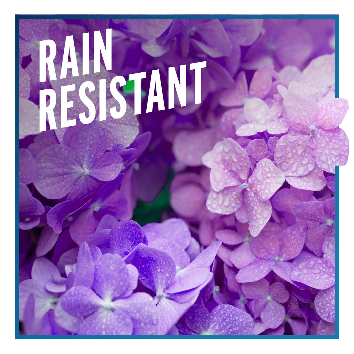 Reapply Liquid Fence every 3–4 weeks or after heavy rainfall