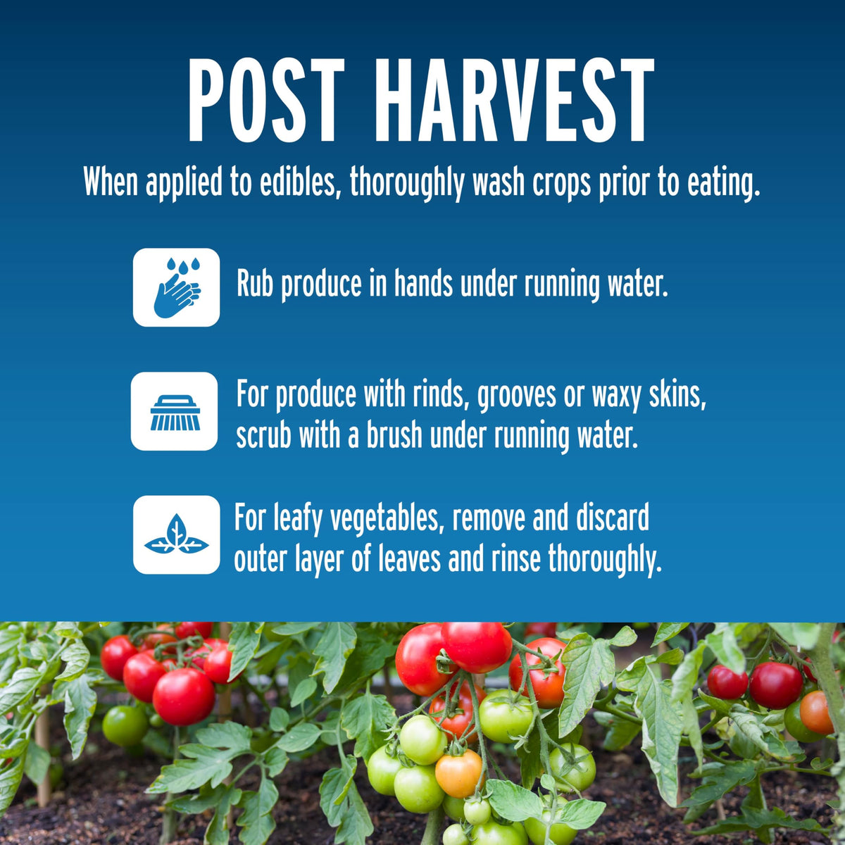 Liquid Fence protects edible plants when used as directed.