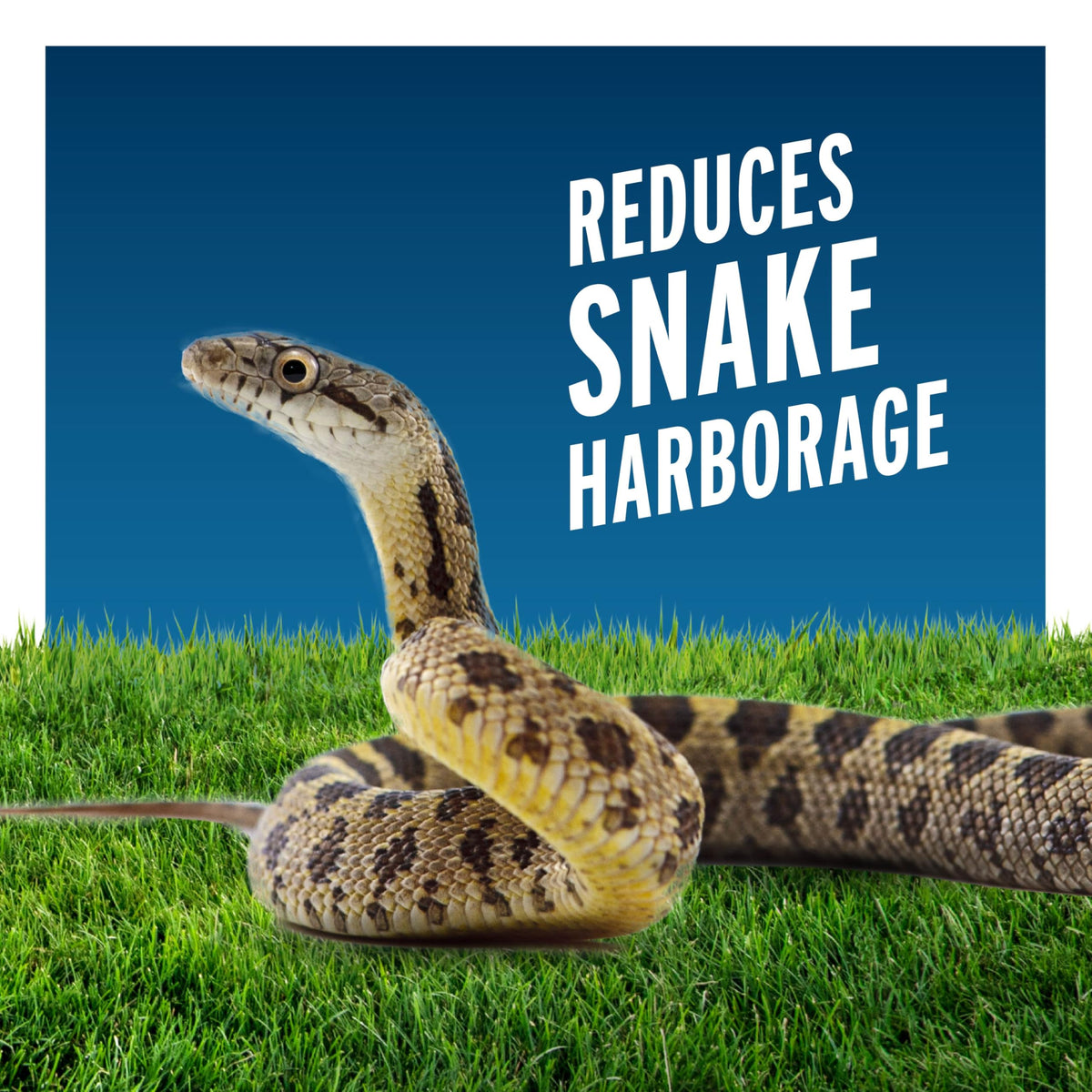 Liquid Fence snake repellent granules spread in garden to form a barrier.