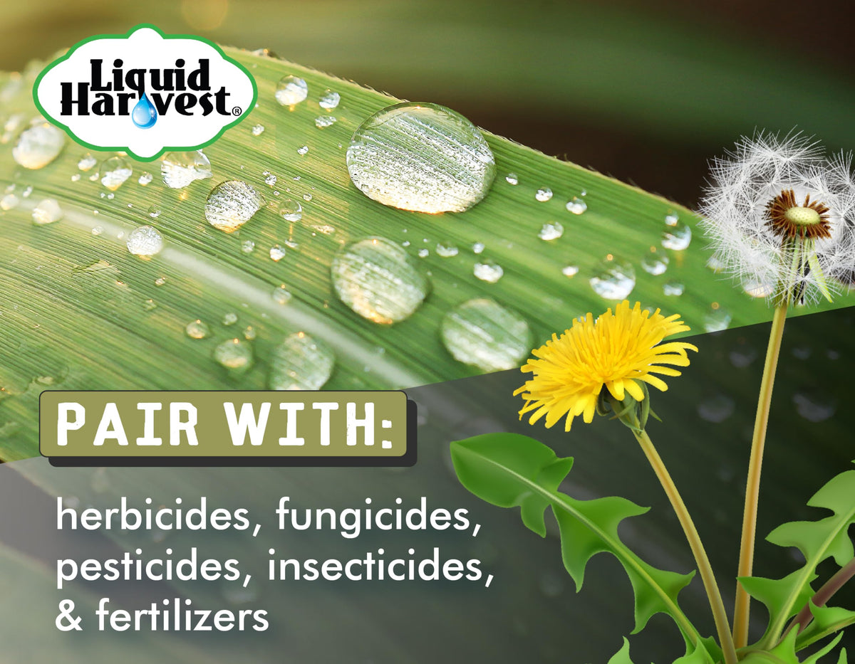Liquid Harvest surfactant improves herbicide coverage reducing missed spots