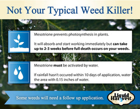 Liquid Harvest Mesotrione application sprayer mist for even coverage.
