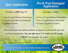 Liquid Harvest Mesotrione lawn wide shot showing potential weed-free turf.