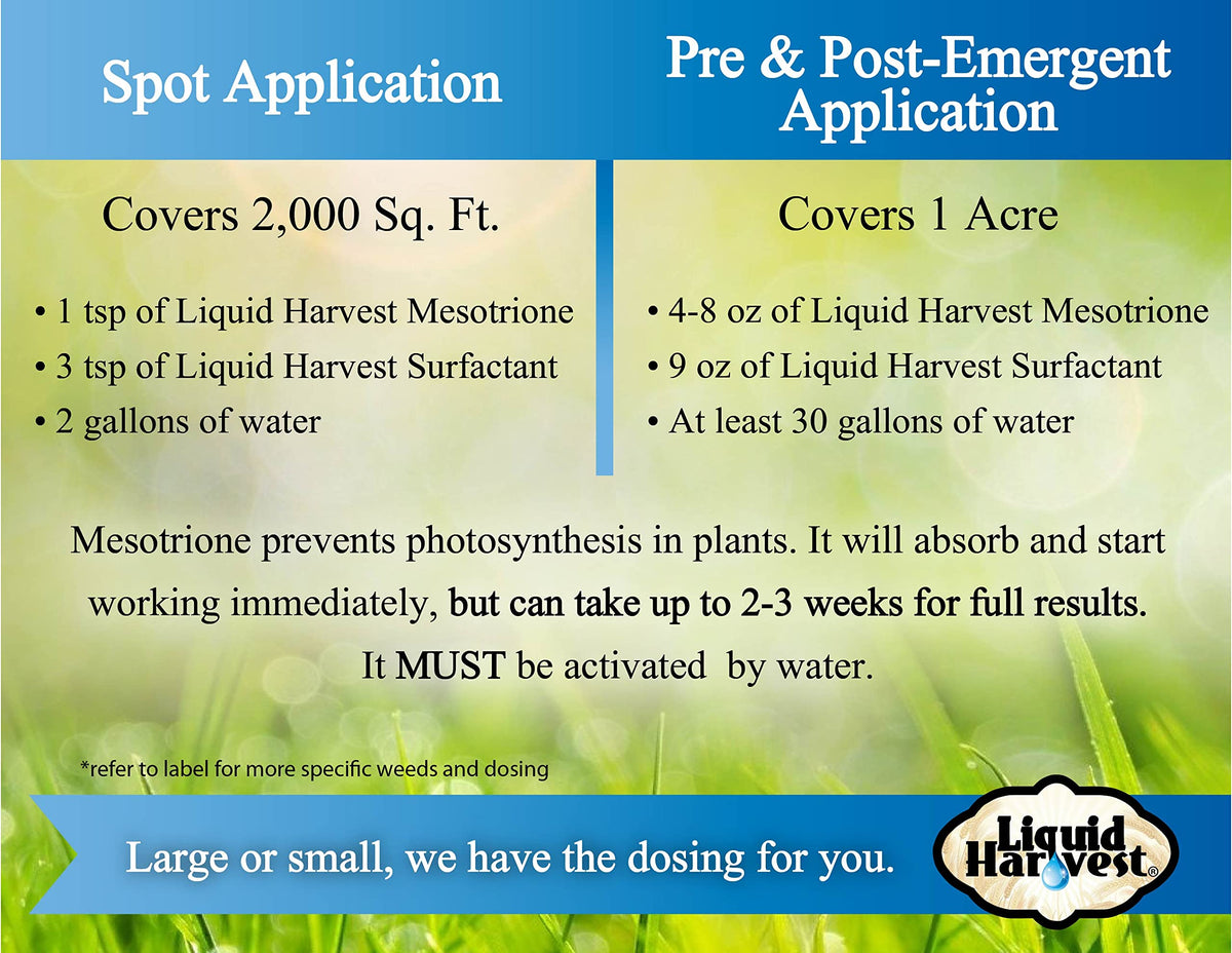 Sod-ready grasses like Kentucky bluegrass treated with Mesotrione.