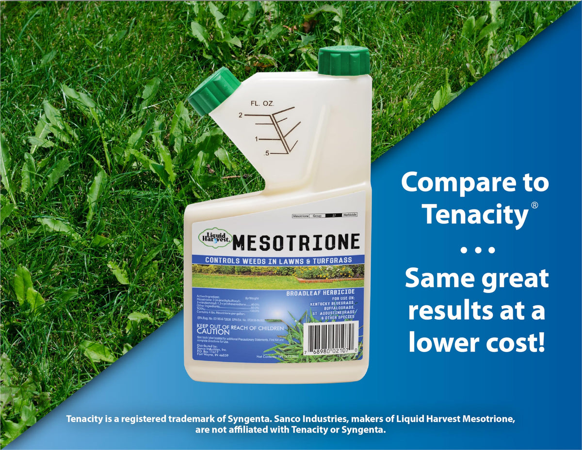 Liquid Harvest Mesotrione sprayed lawn area demonstrates targeted weed suppression.