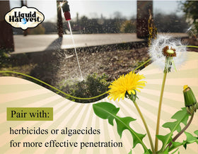 Liquid Harvest Mesotrione turf compatibility with common grasses.