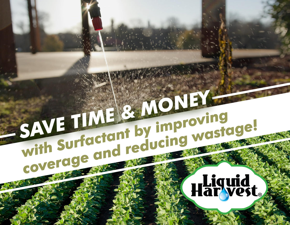 Liquid Harvest surfactant enhances penetration for better herbicide uptake.