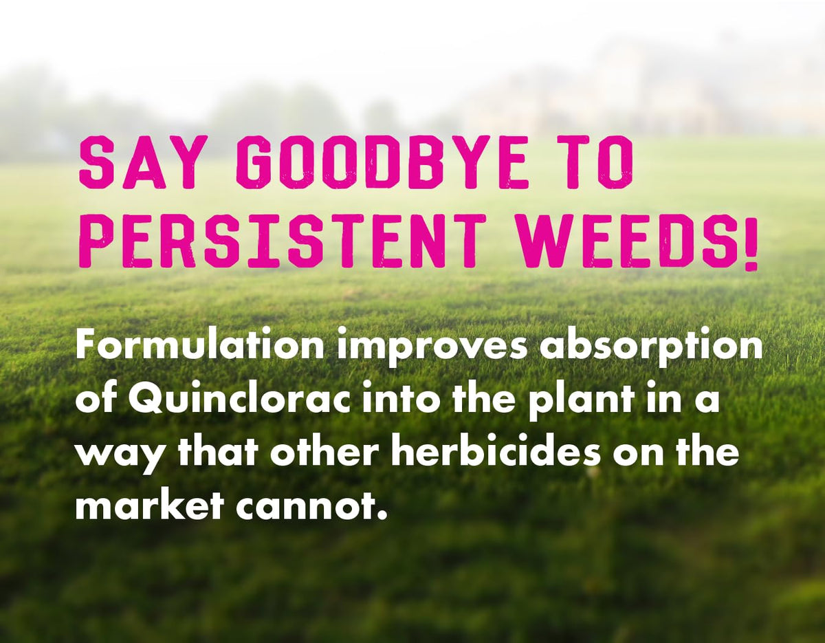Liquid Harvest Pro broadleaf weed targets like dandelion and clover in turf