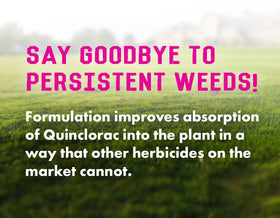 Liquid Harvest Pro broadleaf weed targets like dandelion and clover in turf