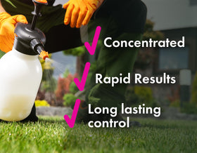 Liquid Harvest Pro grassy weeds such as crabgrass and foxtail in a lawn scene