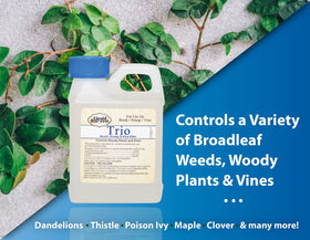 Liquid Harvest Trio stump-paint demonstrates direct stump treatment for preventing regrowth.