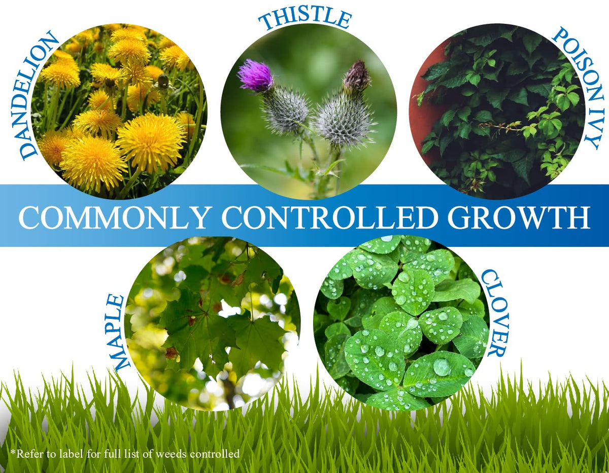 Liquid Harvest Trio vines-brambles image emphasizes broad-spectrum control of climbing and sprawling plants.