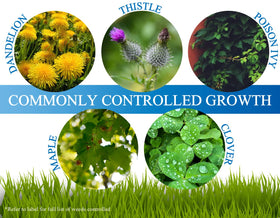 Liquid Harvest Trio vines-brambles image emphasizes broad-spectrum control of climbing and sprawling plants.
