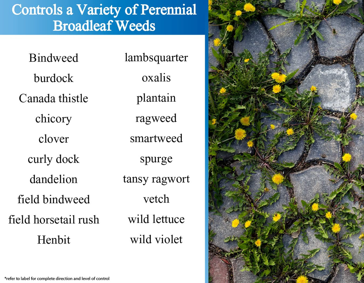 Liquid Harvest Trio woody-plants image underscores systemic action on woody species.