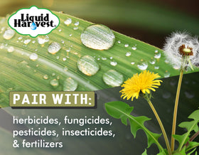 Liquid Harvest absorption close-up shows faster leaf uptake
