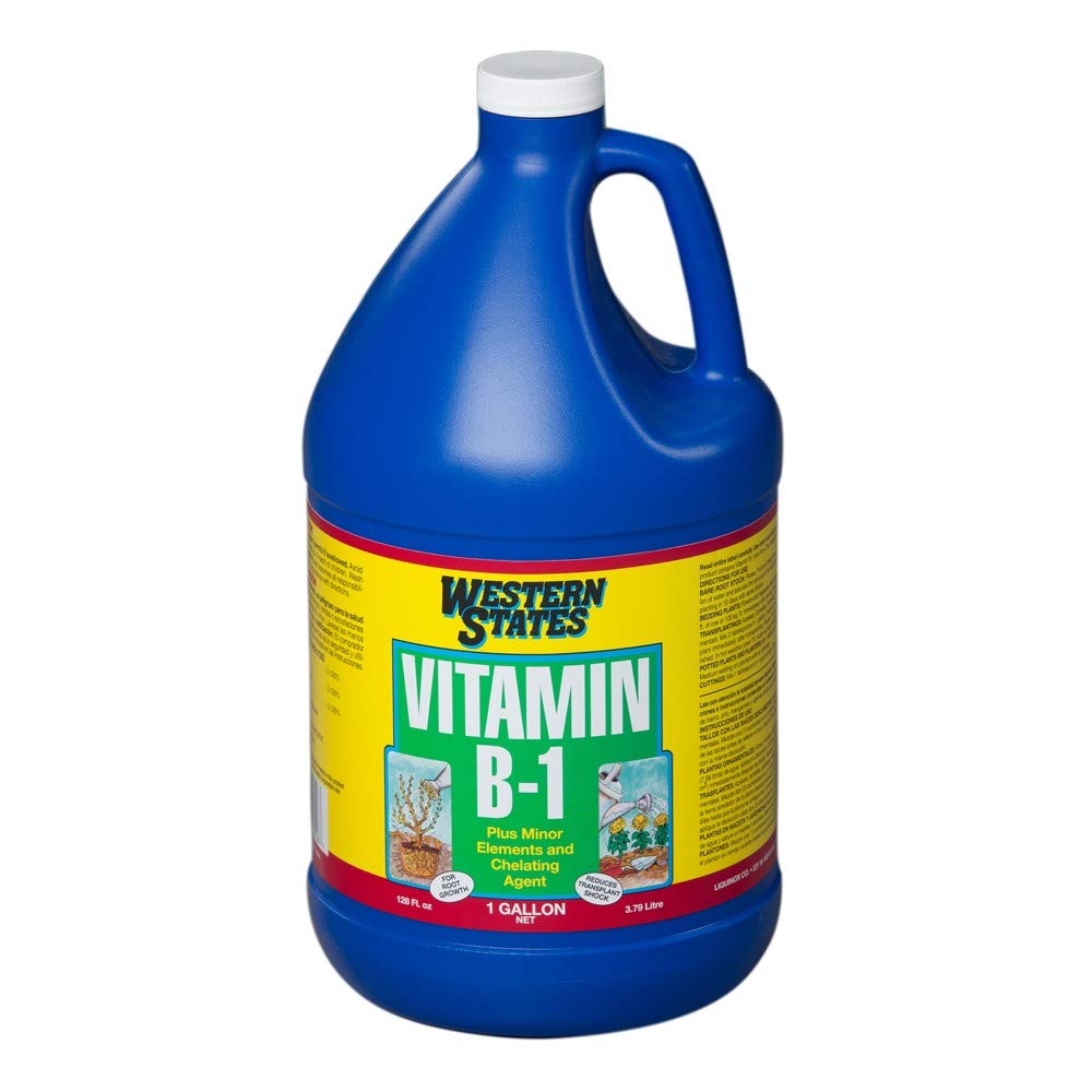 Liquinox Western States B-1 bottle cap open for easy transplant preparation