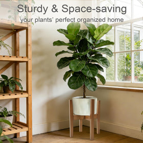 Living room setup featuring the Lissomballon bamboo plant stand as a decor focal point.