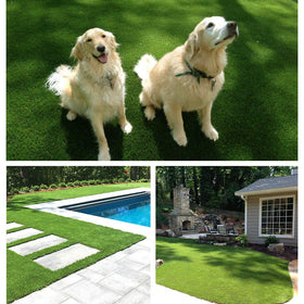 LITA pet turf showcasing urine drainage for pet-friendly use