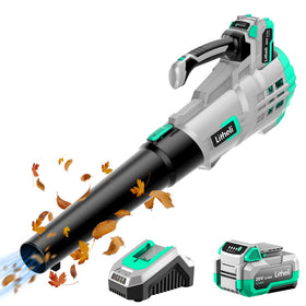 LiTHELi blower with quick-connect tube for fast setup and efficient cleaning.