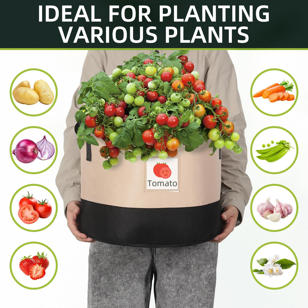 LITLANDSTAR label pocket seedling section for quick plant identification