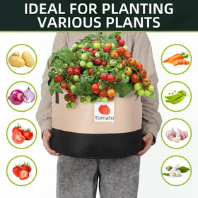 LITLANDSTAR label pocket seedling section for quick plant identification