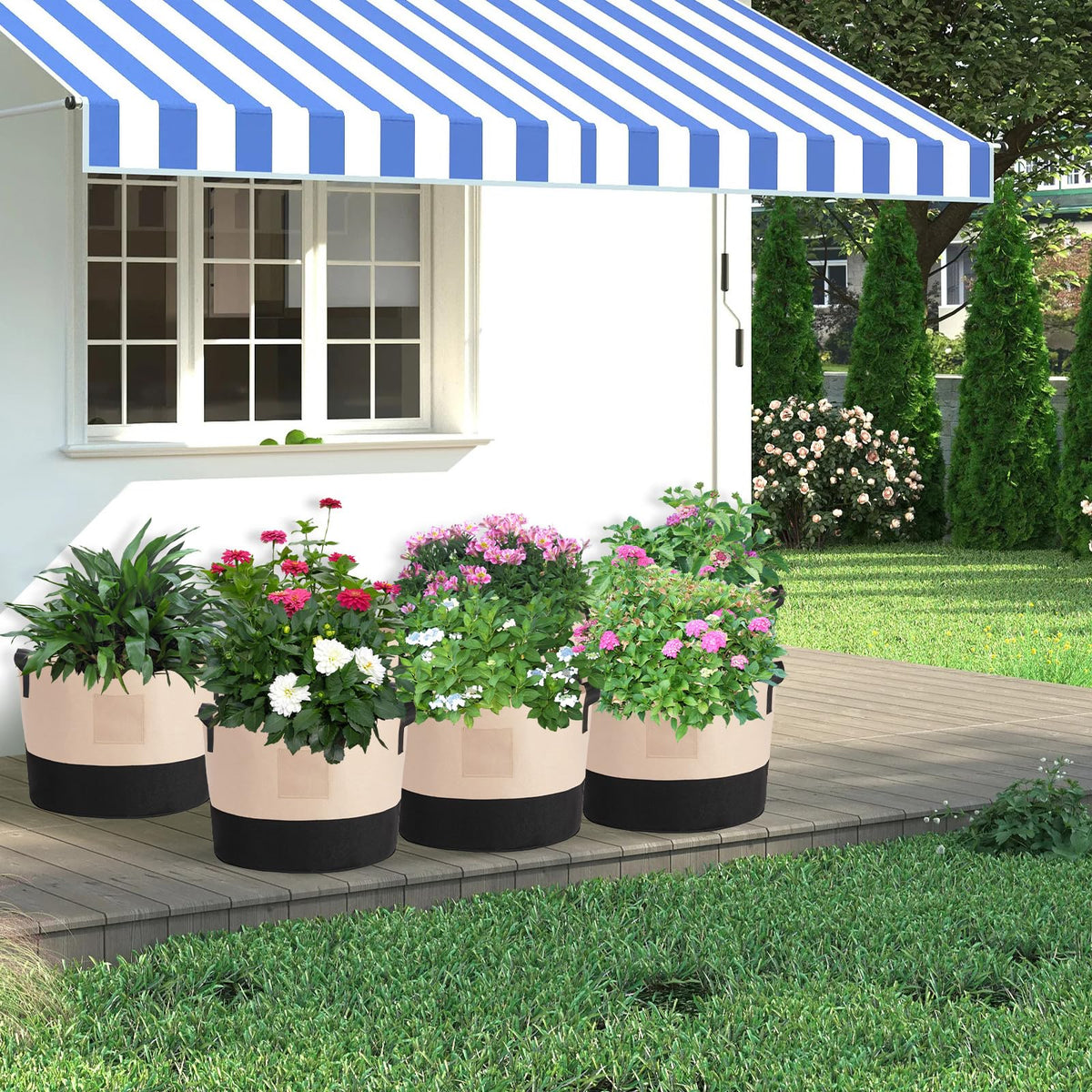 LITLANDSTAR plants thriving in fabric grow bags
