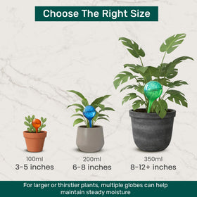 Little Green Leaf gift-ready package perfect for plant lovers and housewarmings