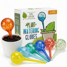 Little Green Leaf glass watering globes in multicolor set hydrate indoor plants with style