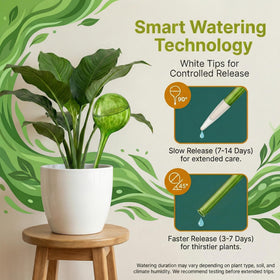 Little Green Leaf globes suited for indoor and outdoor use support steady soil moisture