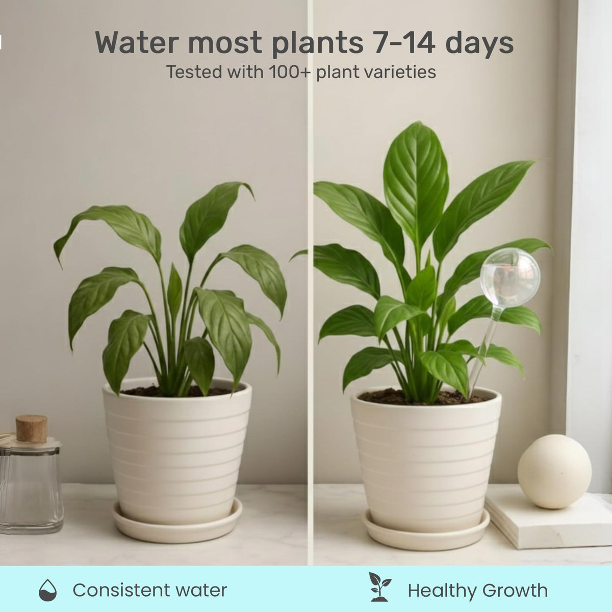 Little Green Leaf hand-blown glass watering bulbs enhance indoor plant displays with subtle sparkle