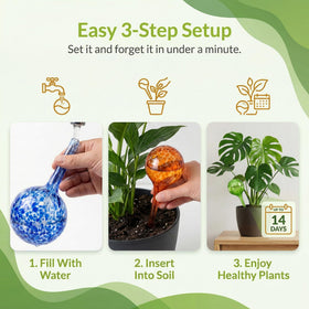 Little Green Leaf glass bulbs with packaging ideal gift for plant lovers.