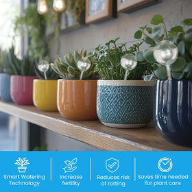 Little Green Leaf vacation-ready solution keeps plants hydrated while you’re away